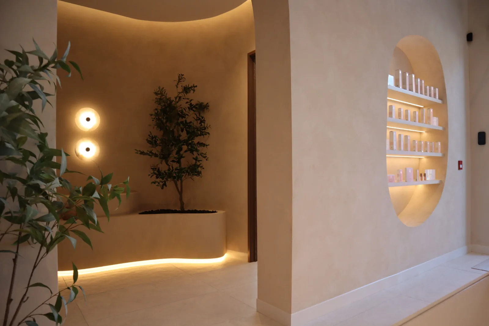 Limewash feature walls with curved planter bench and circular skincare display niche at Envy Cosmetic Clinic, Ottawa