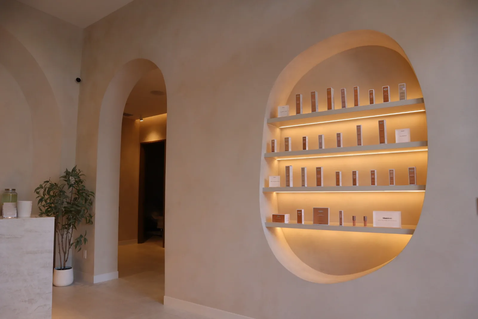Two-tone limewash walls with arched doorways and a backlit oval product display niche at Envy Cosmetic Clinic reception on Bank Street, Ottawa