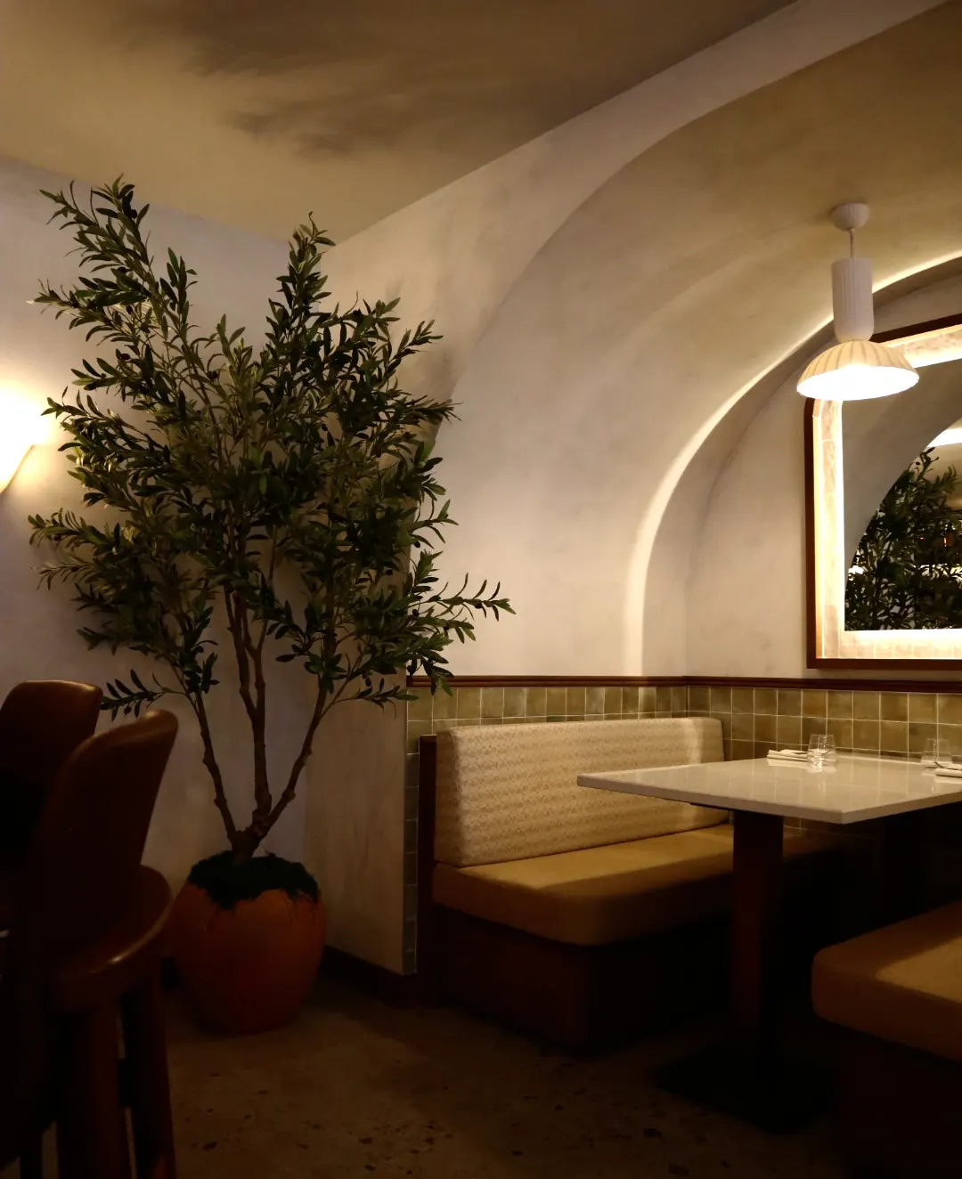 Limewash on vaulted ceiling and walls with olive tree at Carletto restaurant Ottawa